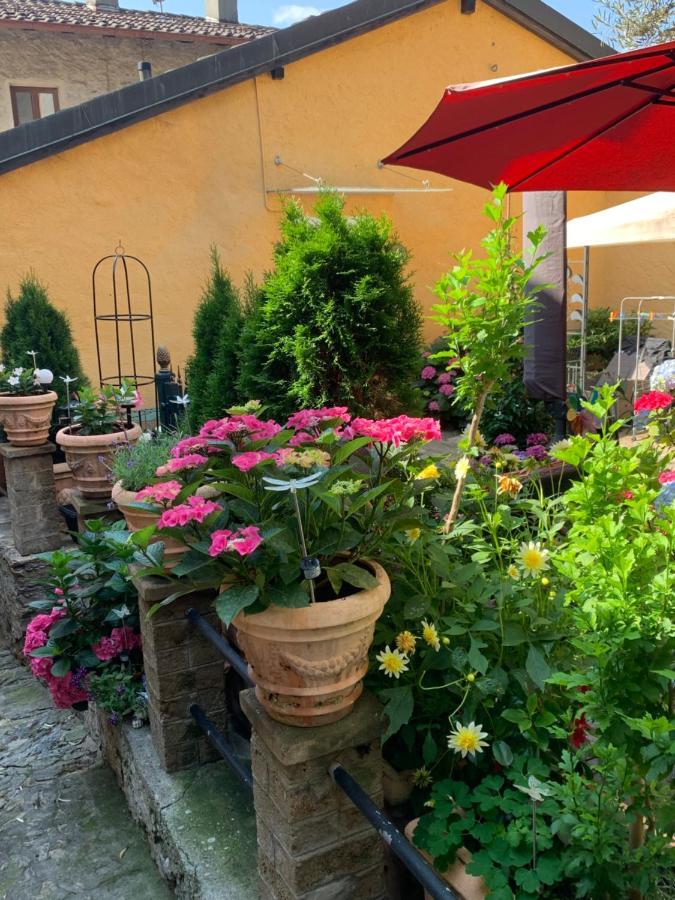 Ferienhaus, Rustico Auf Burg Locarno Eksteriør bilde
